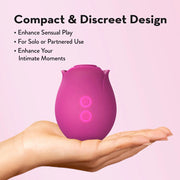 Blush Collection The Original Blush Rose