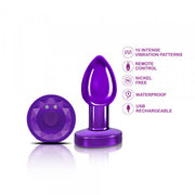 R/C Vibrating Metal Plug - Purple-Small