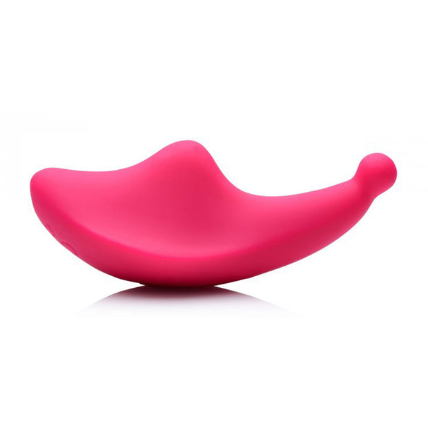 Voice Activated 10X Panty Vibe w R/C *