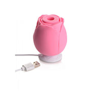 The Rose Lover's Gift Box - Pink